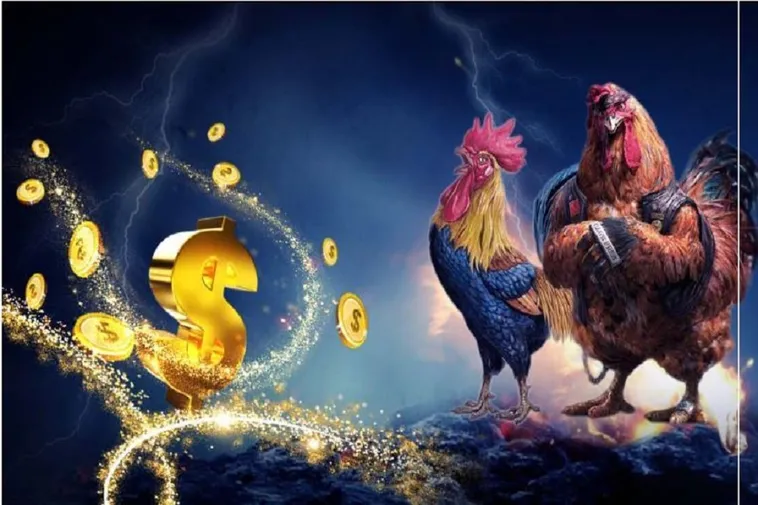 Bí Quyết Chinh Phục Đá Gà Sabong Tại Mu88 Dành Cho Cược Thủ