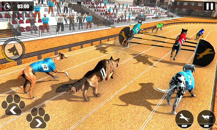 Bí Quyết Chơi Game Nhanh Đua Chó Tại Mu88 Để Thắng Lớn 2 Bí Quyết Chơi Game Nhanh Đua Chó Tại Mu88 Để Thắng Lớn